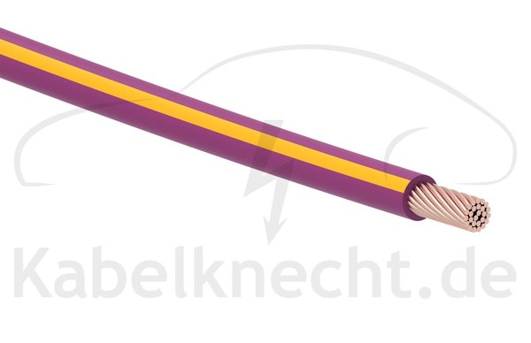FLRy 0,35qmm 10m Ring violett/gelb