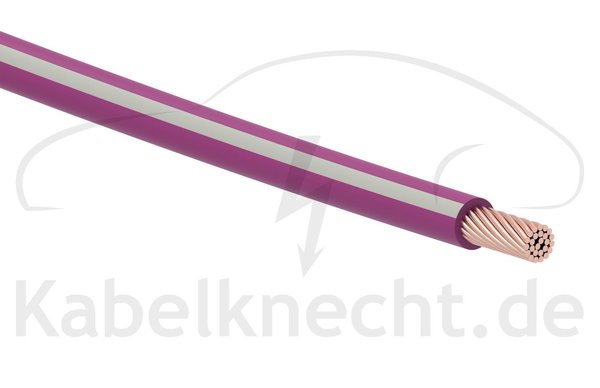 FLRy 0,35qmm 10m violett/grau